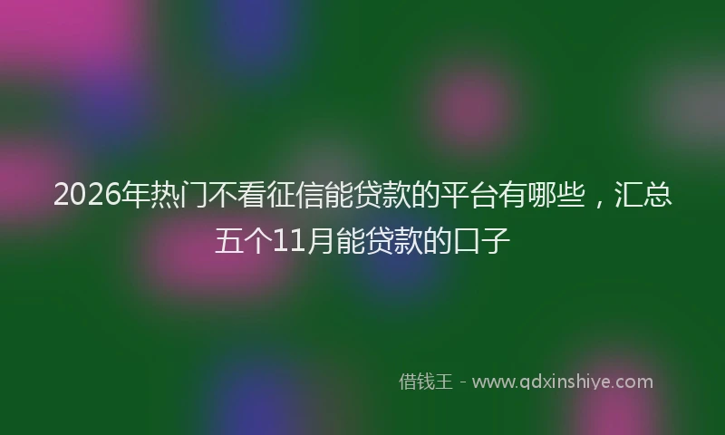 2026年热门不看征信能贷款的平台有哪些，汇总五个11月能贷款的口子
