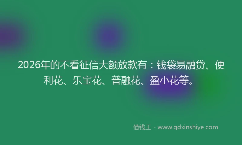 2026年的不看征信大额放款有：钱袋易融贷、便利花、乐宝花、普融花、盈小花等。