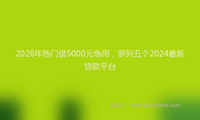 2026年热门借5000元急用，罗列五个2024最新贷款平台