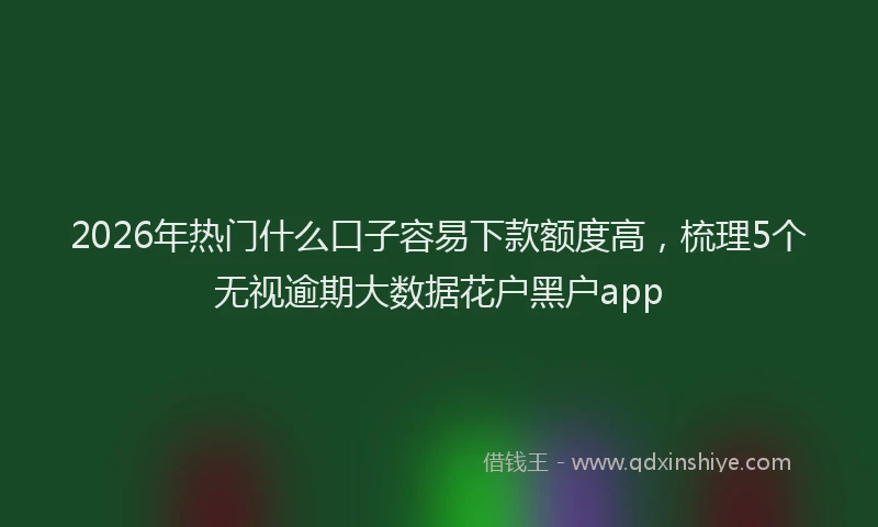 2026年热门什么口子容易下款额度高，梳理5个无视逾期大数据花户黑户app
