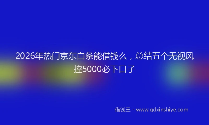 2026年热门京东白条能借钱么，总结五个无视风控5000必下口子