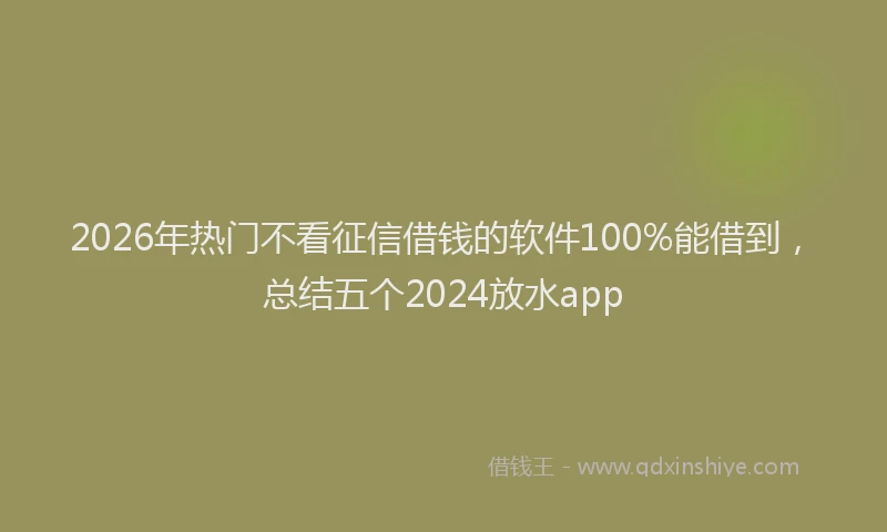 2026年热门不看征信借钱的软件100%能借到，总结五个2024放水app
