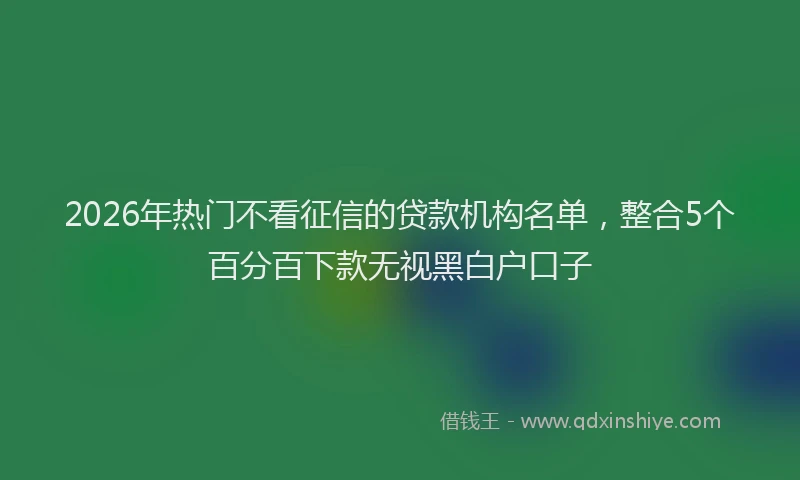 2026年热门不看征信的贷款机构名单，整合5个百分百下款无视黑白户口子