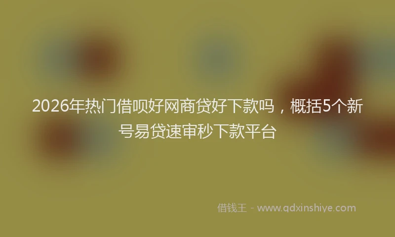 2026年热门借呗好网商贷好下款吗，概括5个新号易贷速审秒下款平台