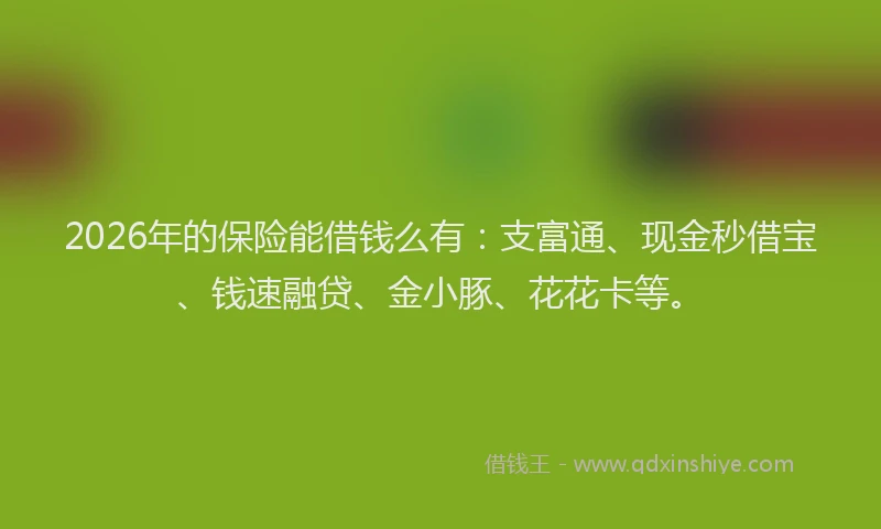2026年的保险能借钱么有：支富通、现金秒借宝、钱速融贷、金小豚、花花卡等。