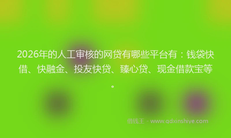 2026年的人工审核的网贷有哪些平台有：钱袋快借、快融金、投友快贷、臻心贷、现金借款宝等。