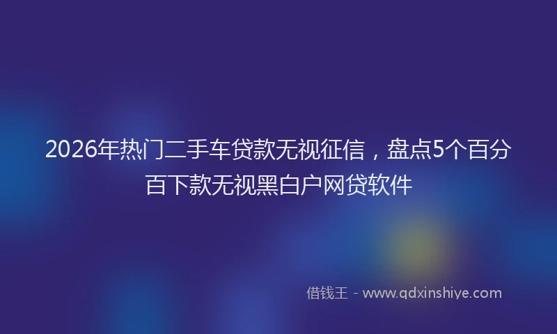 2026年热门二手车贷款无视征信，盘点5个百分百下款无视黑白户网贷软件