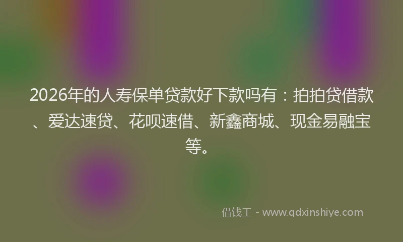 2026年的人寿保单贷款好下款吗有：拍拍贷借款、爱达速贷、花呗速借、新鑫商城、现金易融宝等。