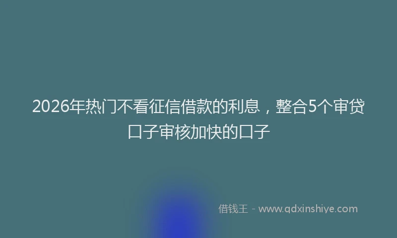 2026年热门不看征信借款的利息，整合5个审贷口子审核加快的口子