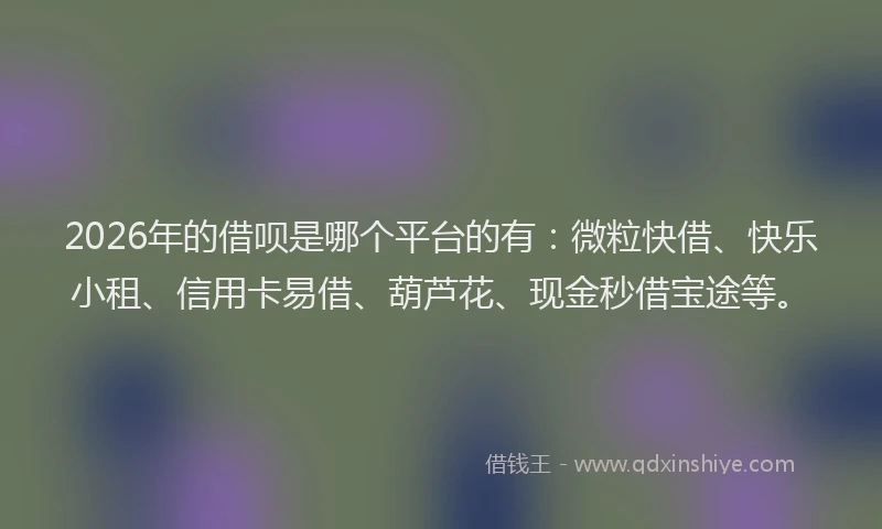 2026年的借呗是哪个平台的有：微粒快借、快乐小租、信用卡易借、葫芦花、现金秒借宝途等。