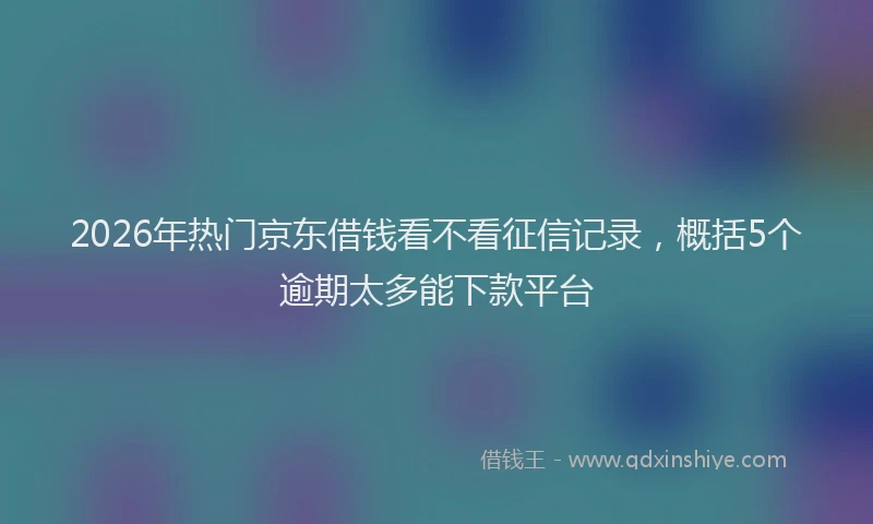2026年热门京东借钱看不看征信记录，概括5个逾期太多能下款平台