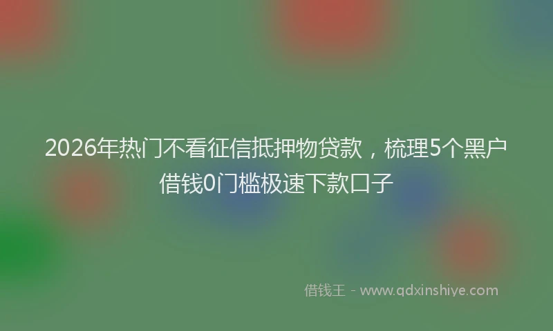 2026年热门不看征信抵押物贷款，梳理5个黑户借钱0门槛极速下款口子