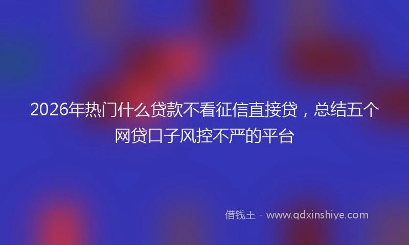 2026年热门什么贷款不看征信直接贷，总结五个网贷口子风控不严的平台