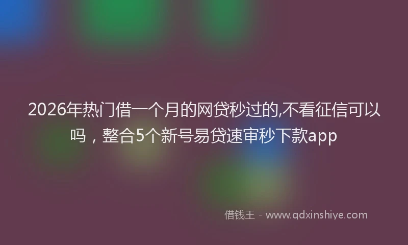 2026年热门借一个月的网贷秒过的,不看征信可以吗，整合5个新号易贷速审秒下款app