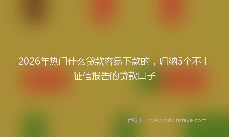 2026年热门什么贷款容易下款的，归纳5个不上征信报告的贷款口子