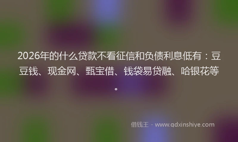 2026年的什么贷款不看征信和负债利息低有：豆豆钱、现金网、甄宝借、钱袋易贷融、哈银花等。