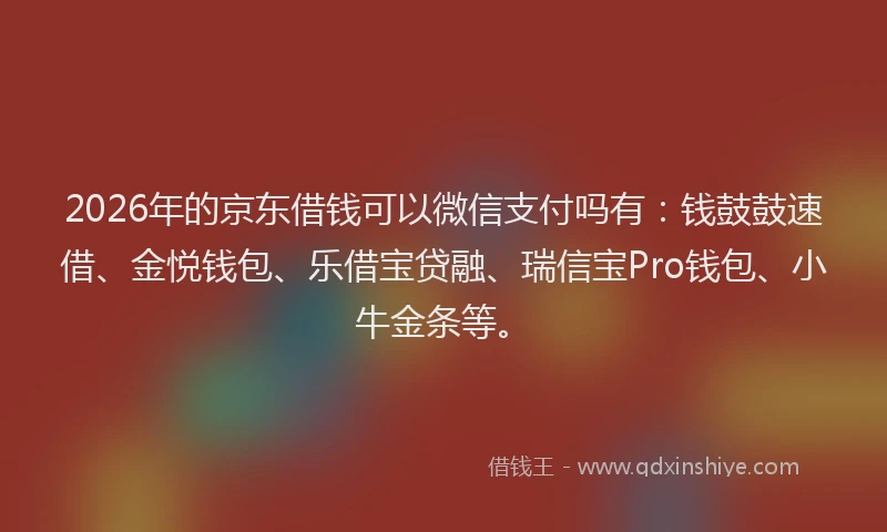 2026年的京东借钱可以微信支付吗有：钱鼓鼓速借、金悦钱包、乐借宝贷融、瑞信宝Pro钱包、小牛金条等。