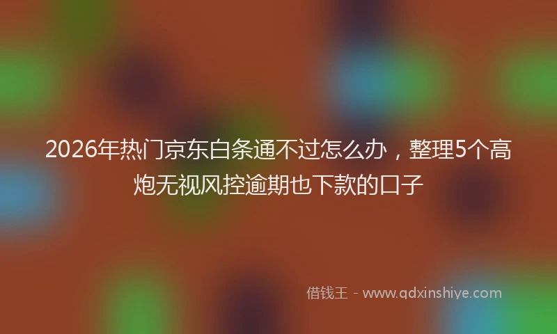 2026年热门京东白条通不过怎么办，整理5个高炮无视风控逾期也下款的口子
