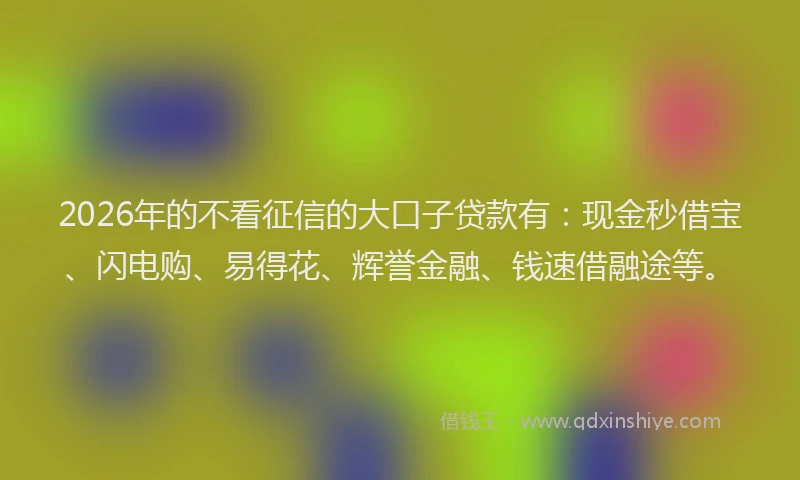 2026年的不看征信的大口子贷款有：现金秒借宝、闪电购、易得花、辉誉金融、钱速借融途等。