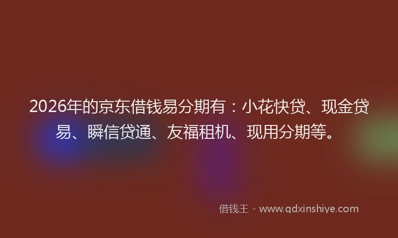2026年的京东借钱易分期有：小花快贷、现金贷易、瞬信贷通、友福租机、现用分期等。