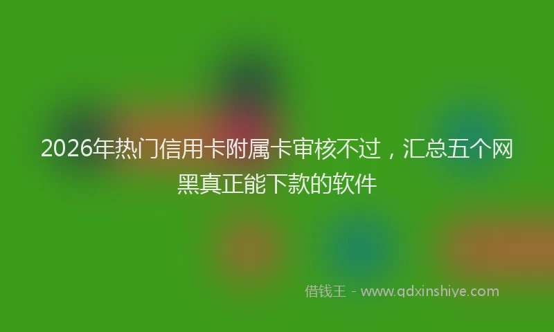 2026年热门信用卡附属卡审核不过，汇总五个网黑真正能下款的软件