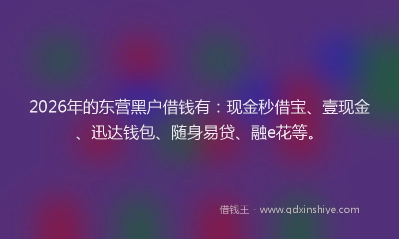 2026年的东营黑户借钱有：现金秒借宝、壹现金、迅达钱包、随身易贷、融e花等。