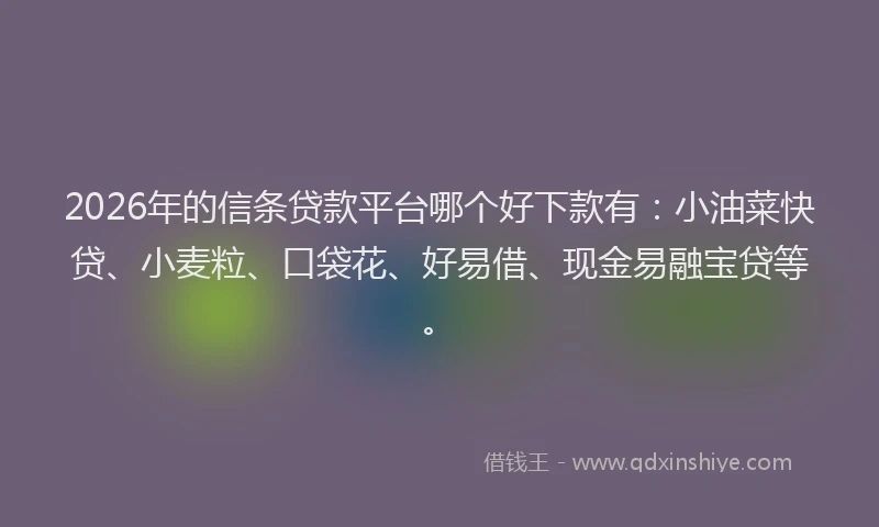 2026年的信条贷款平台哪个好下款有：小油菜快贷、小麦粒、口袋花、好易借、现金易融宝贷等。