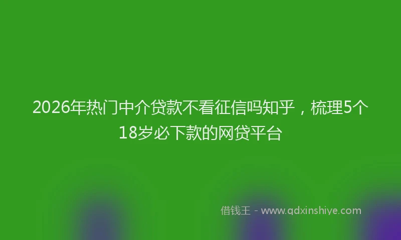 2026年热门中介贷款不看征信吗知乎，梳理5个18岁必下款的网贷平台