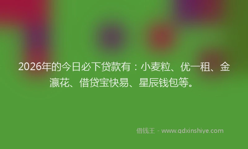 2026年的今日必下贷款有：小麦粒、优一租、金瀛花、借贷宝快易、星辰钱包等。