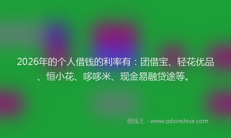 2026年的个人借钱的利率有：团借宝、轻花优品、恒小花、哆哆米、现金易融贷途等。