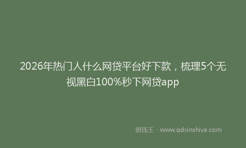 2026年热门人什么网贷平台好下款，梳理5个无视黑白100%秒下网贷app