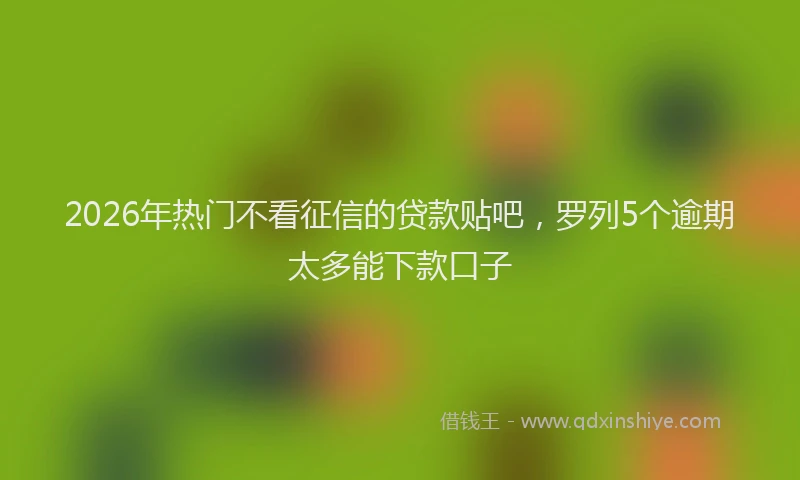 2026年热门不看征信的贷款贴吧，罗列5个逾期太多能下款口子