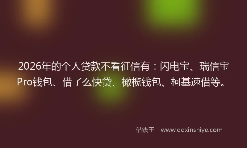 2026年的个人贷款不看征信有：闪电宝、瑞信宝Pro钱包、借了么快贷、橄榄钱包、柯基速借等。