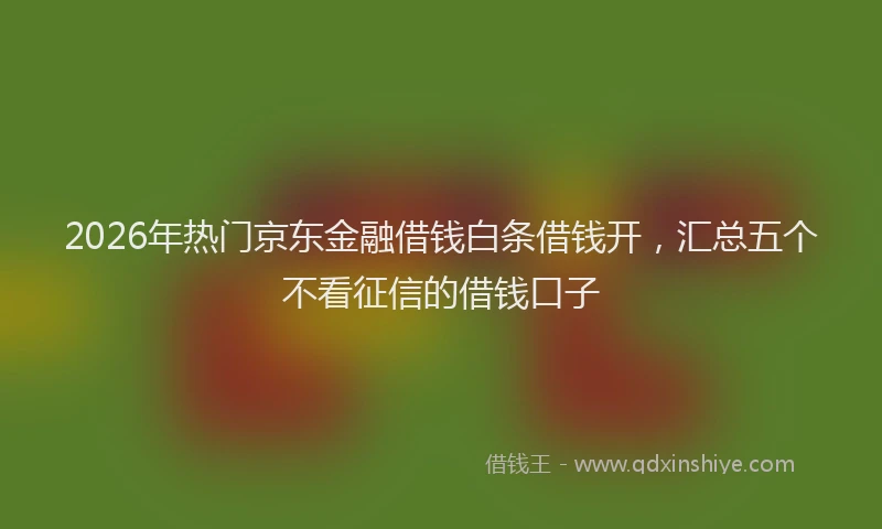 2026年热门京东金融借钱白条借钱开，汇总五个不看征信的借钱口子