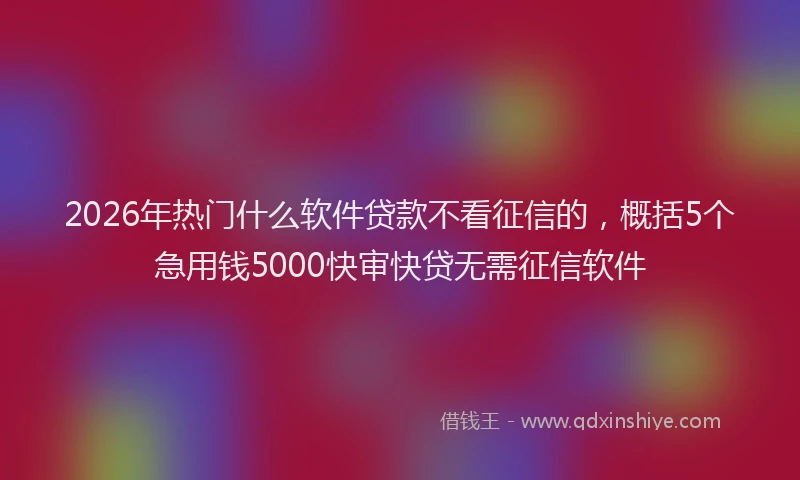 2026年热门什么软件贷款不看征信的，概括5个急用钱5000快审快贷无需征信软件