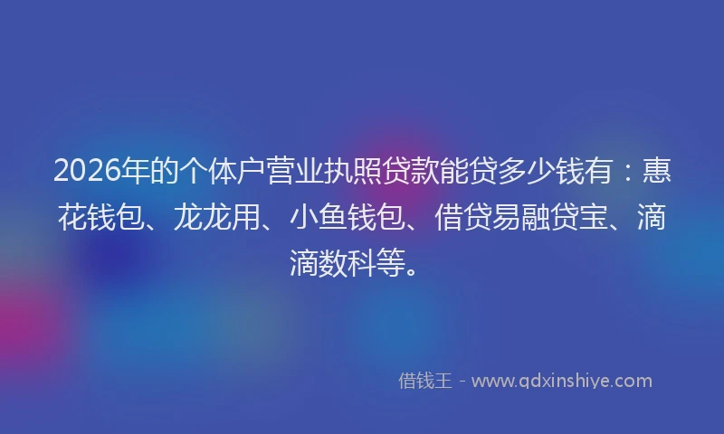 2026年的个体户营业执照贷款能贷多少钱有：惠花钱包、龙龙用、小鱼钱包、借贷易融贷宝、滴滴数科等。