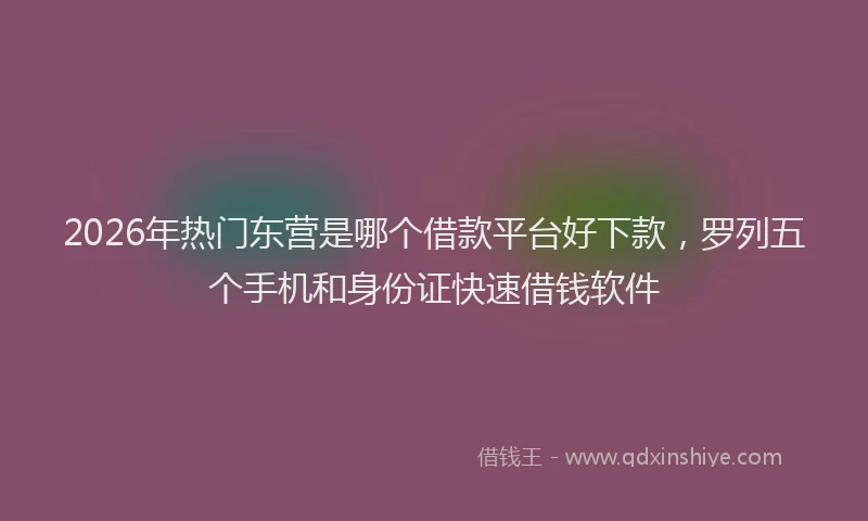 2026年热门东营是哪个借款平台好下款，罗列五个手机和身份证快速借钱软件
