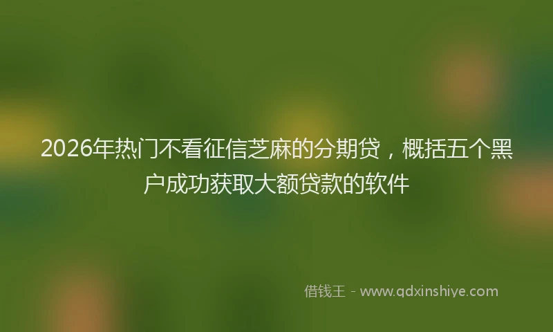 2026年热门不看征信芝麻的分期贷，概括五个黑户成功获取大额贷款的软件