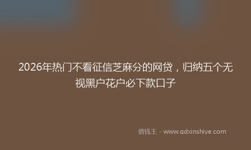 2026年热门不看征信芝麻分的网贷，归纳五个无视黑户花户必下款口子