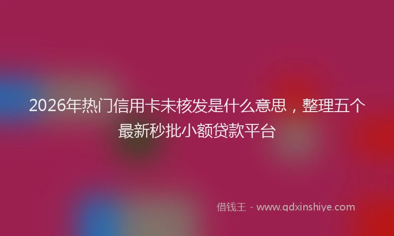 2026年热门信用卡未核发是什么意思，整理五个最新秒批小额贷款平台