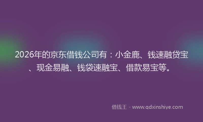 2026年的京东借钱公司有：小金鹿、钱速融贷宝、现金易融、钱袋速融宝、借款易宝等。