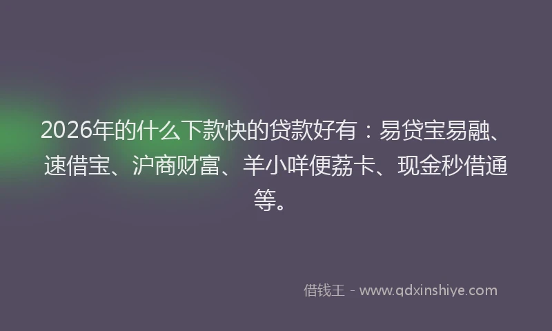 2026年的什么下款快的贷款好有：易贷宝易融、速借宝、沪商财富、羊小咩便荔卡、现金秒借通等。