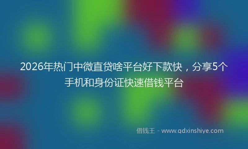 2026年热门中微直贷啥平台好下款快，分享5个手机和身份证快速借钱平台