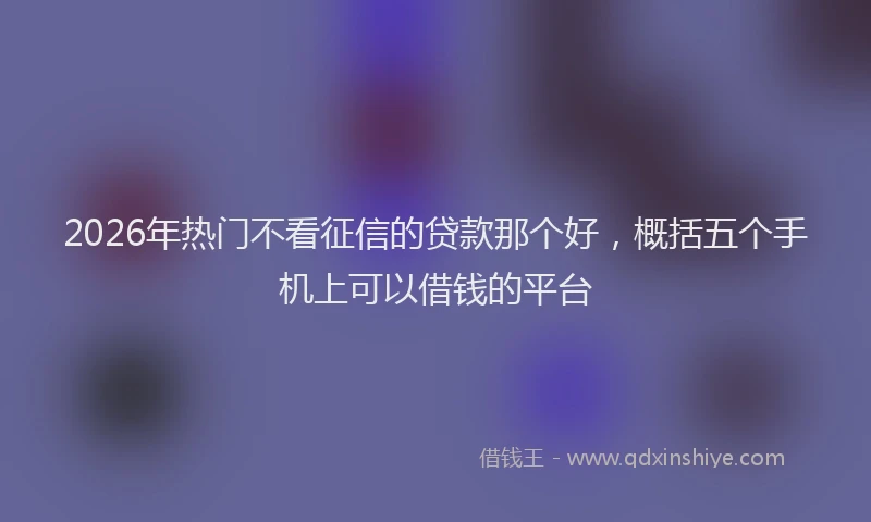 2026年热门不看征信的贷款那个好，概括五个手机上可以借钱的平台