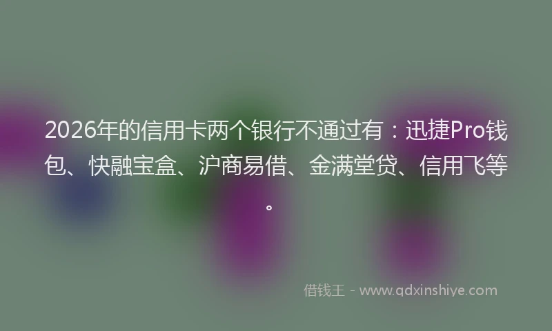 2026年的信用卡两个银行不通过有：迅捷Pro钱包、快融宝盒、沪商易借、金满堂贷、信用飞等。