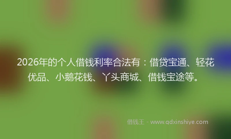 2026年的个人借钱利率合法有：借贷宝通、轻花优品、小鹅花钱、丫头商城、借钱宝途等。