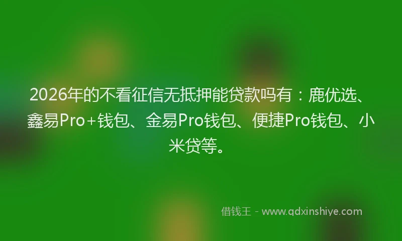 2026年的不看征信无抵押能贷款吗有：鹿优选、鑫易Pro+钱包、金易Pro钱包、便捷Pro钱包、小米贷等。