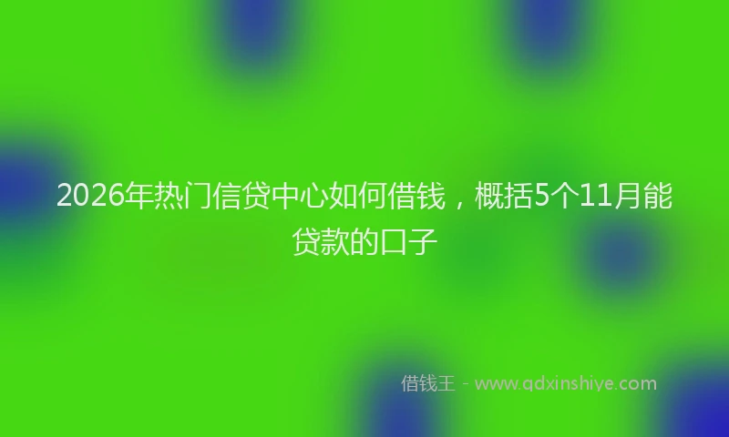 2026年热门信贷中心如何借钱，概括5个11月能贷款的口子