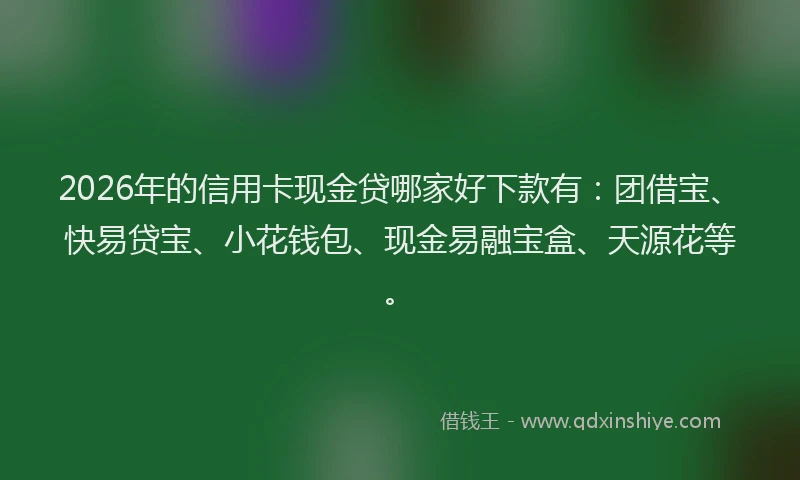 2026年的信用卡现金贷哪家好下款有：团借宝、快易贷宝、小花钱包、现金易融宝盒、天源花等。
