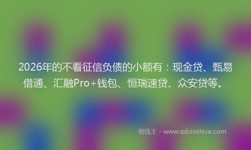 2026年的不看征信负债的小额有：现金贷、甄易借通、汇融Pro+钱包、恒瑞速贷、众安贷等。
